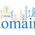 Domain Name